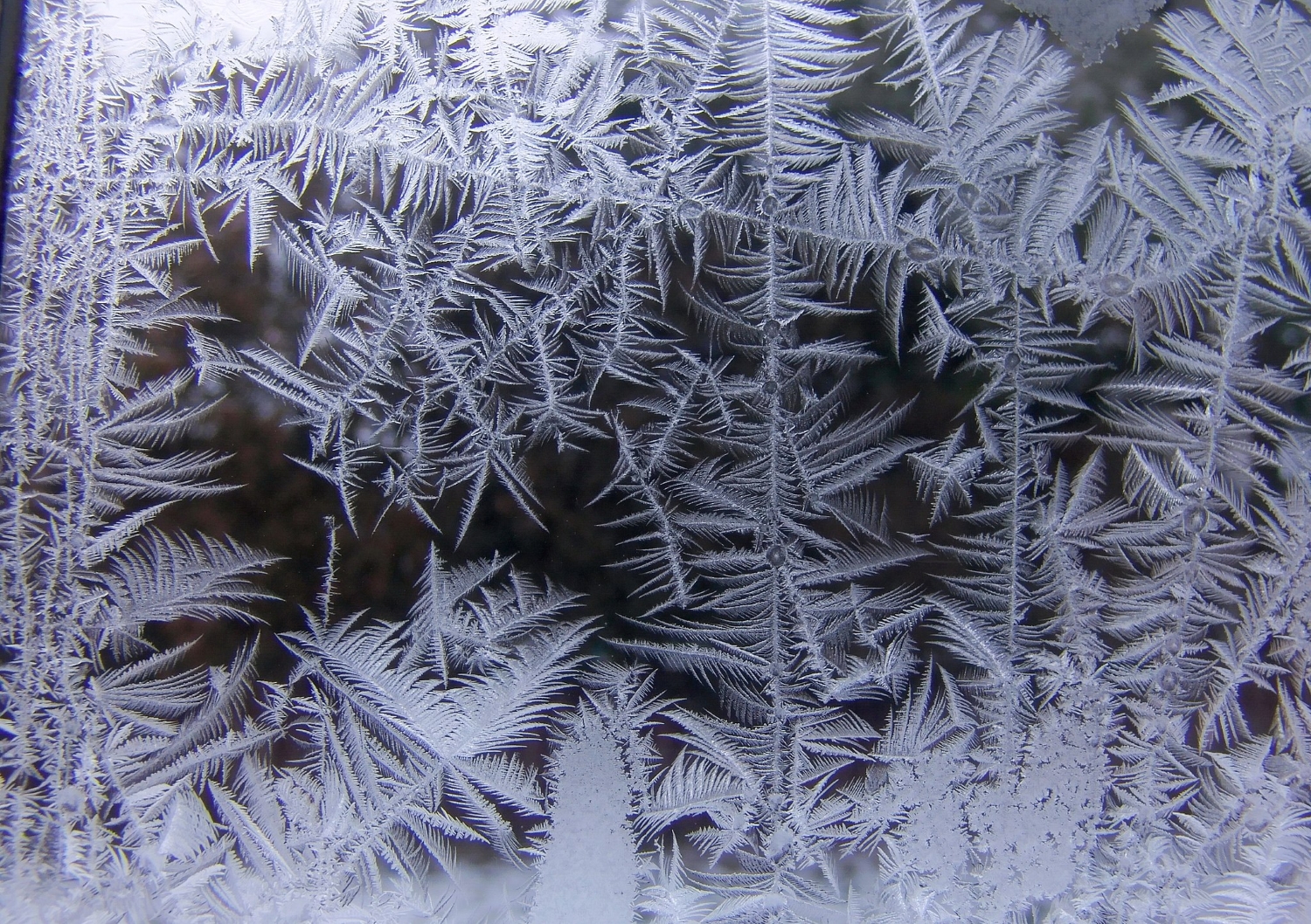 ice crystals by Helen Filatova, (CC BY-SA 3.0) wikimedia.com